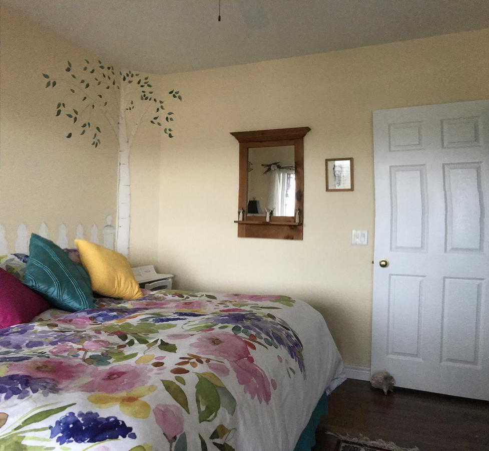 โกลเดน แพทเวย์ส รีทรีต แอนด์ บีแอนด์บี Bed & Breakfast ปีเตอร์บอร์โรว์ ภายนอก รูปภาพ