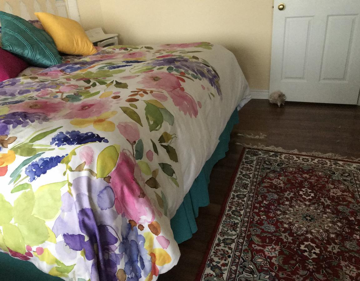 โกลเดน แพทเวย์ส รีทรีต แอนด์ บีแอนด์บี Bed & Breakfast ปีเตอร์บอร์โรว์ ภายนอก รูปภาพ
